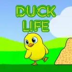 Duck Life